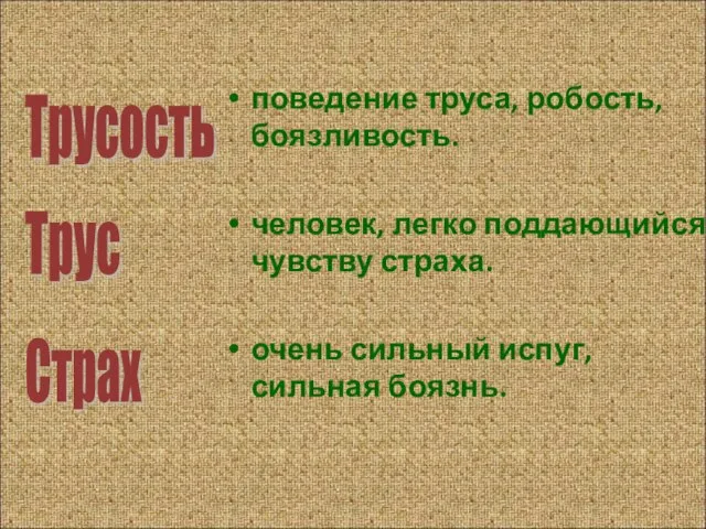 поведение труса, робость, боязливость. человек, легко поддающийся чувству страха. очень сильный испуг,