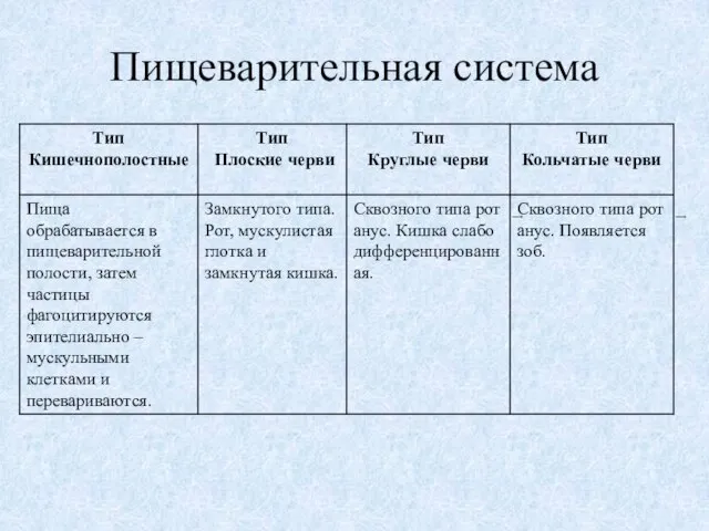 Пищеварительная система