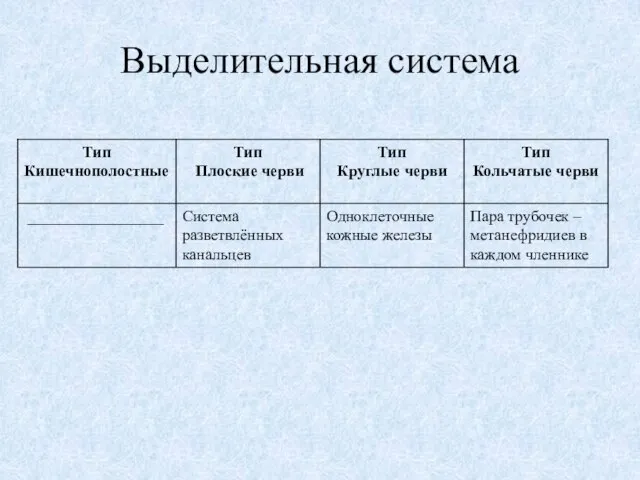 Выделительная система