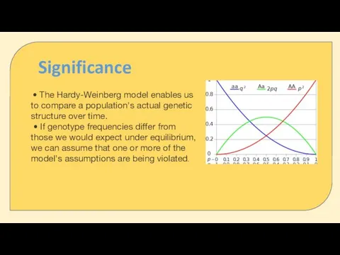 • The Hardy-Weinberg model enables us to compare a population's actual genetic