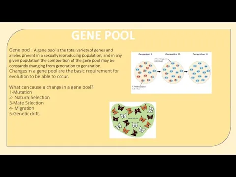 Gene pool : A gene pool is the total variety of genes