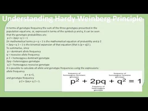 In terms of genotype frequency the sum of the three genotypes presented