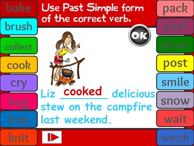 Liz _______ delicious stew on the campfire last weekend. cooked bake brush