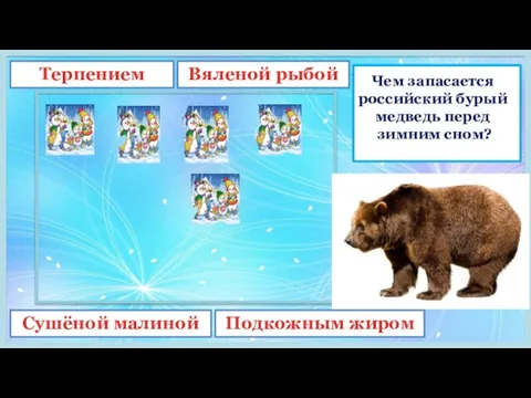 Чем запасается российский бурый медведь перед зимним сном? Терпением Вяленой рыбой Сушёной малиной Подкожным жиром
