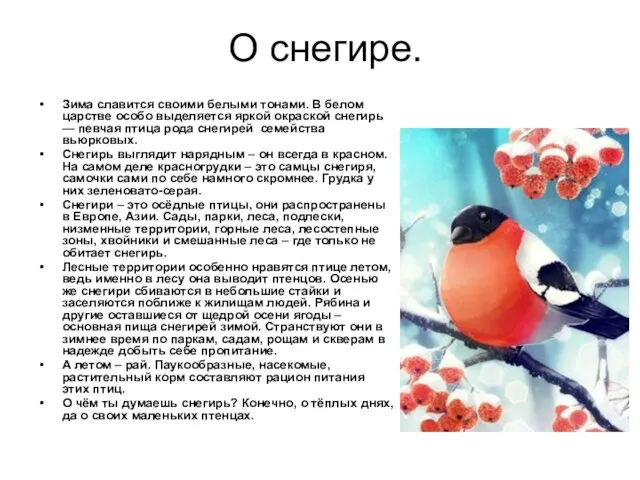 О снегире. Зима славится своими белыми тонами. В белом царстве особо выделяется