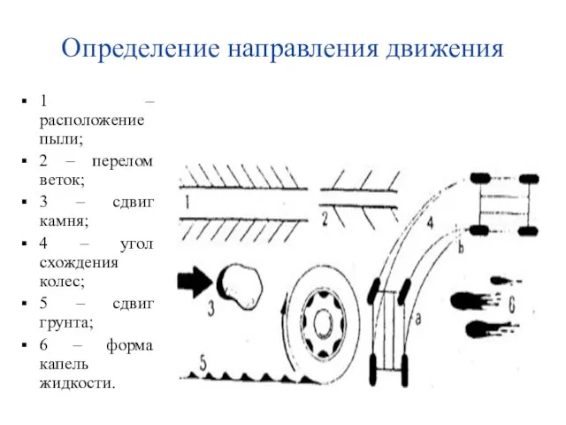 Определение направления движения 1 – расположение пыли; 2 – перелом веток; 3