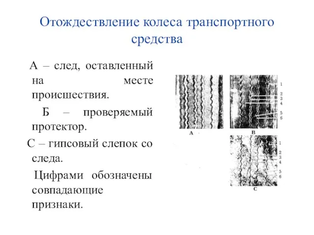 Отождествление колеса транспортного средства А – след, оставленный на месте происшествия. Б