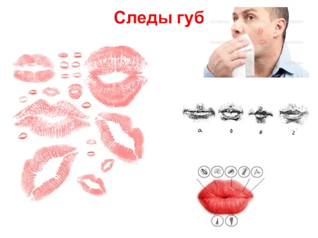 Следы губ