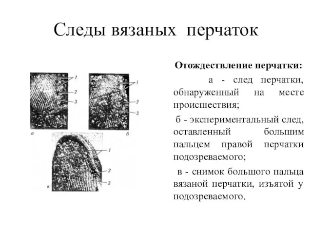 Следы вязаных перчаток Отождествление перчатки: а - след перчатки, обнаруженный на месте