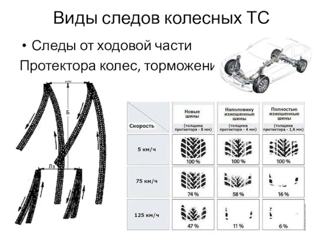 Виды следов колесных ТС Следы от ходовой части Протектора колес, торможения