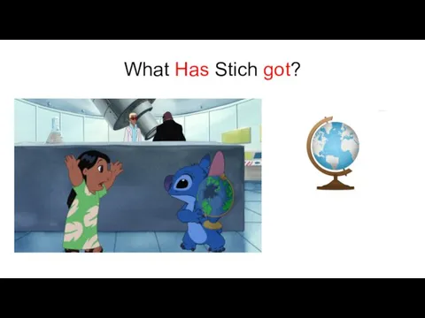 What Has Stich got?