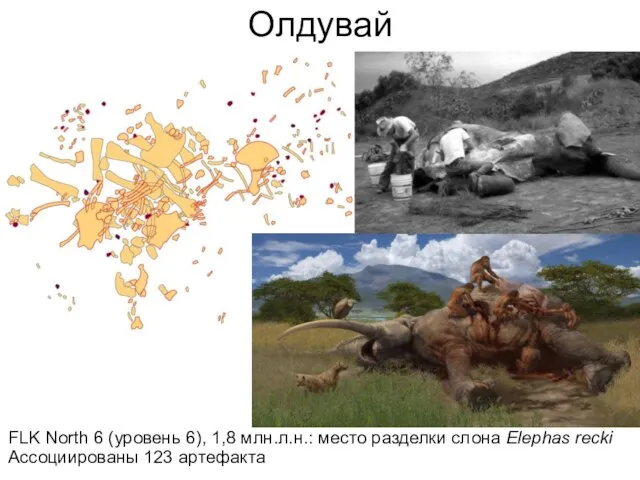 Олдувай FLK North 6 (уровень 6), 1,8 млн.л.н.: место разделки слона Elephas recki Ассоциированы 123 артефакта