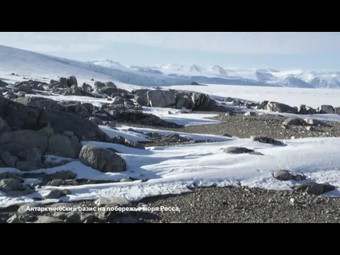 Антарктический оазис на побережье моря Росса.