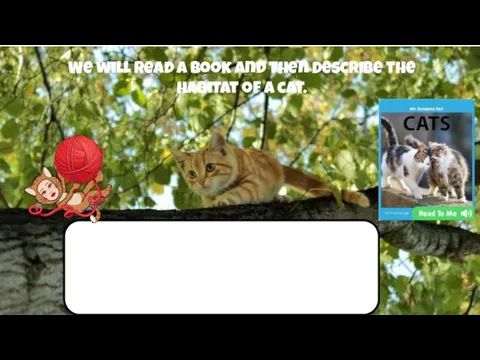 We will read a book and then Describe the habitat of a cat.