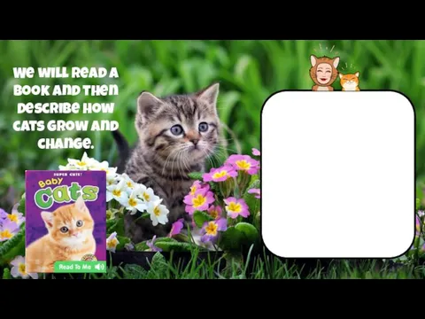 We will read a book and then Describe how cats grow and change.