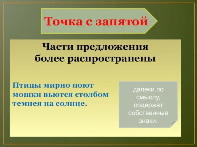 Точка с запятой Части предложения более распространены Птицы мирно поют мошки вьются столбом темнея на солнце.