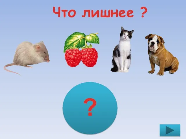 Что лишнее ? ?