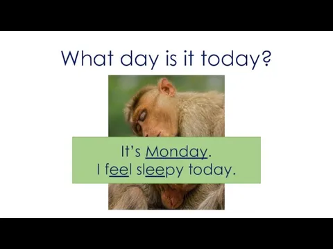 What day is it today? It’s Monday. I feel sleepy today.