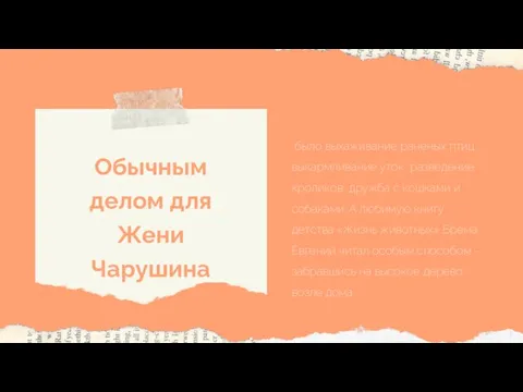 было выхаживание раненых птиц, выкармливание уток, разведение кроликов, дружба с кошками и