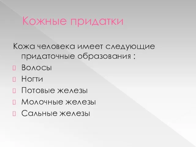 Кожные придатки Кожа человека имеет следующие придаточные образования : Волосы Ногти Потовые