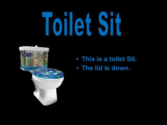 This is a toilet Sit. The lid is down. Toilet Sit