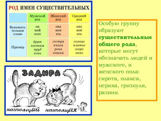 Особую группу образуют существительные общего рода, которые могут обозначать людей и мужского,