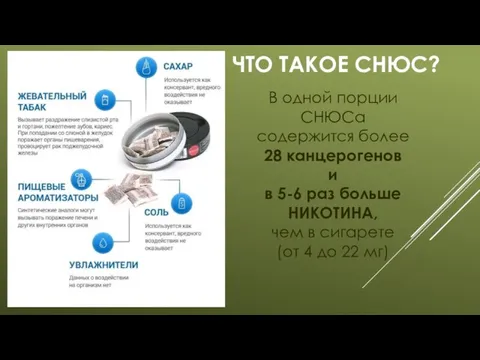 ЧТО ТАКОЕ СНЮС? В одной порции СНЮСа содержится более 28 канцерогенов и