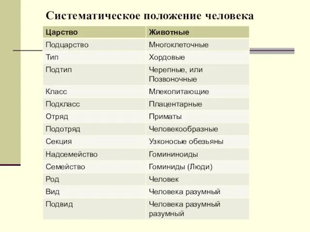 Систематическое положение человека