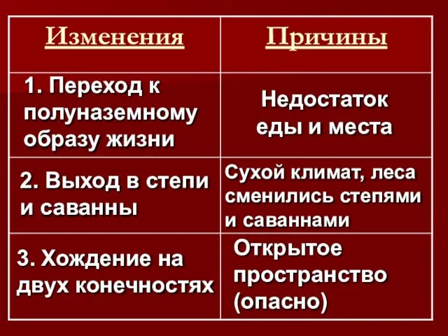 Недостаток еды и места 1. Переход к полуназемному образу жизни 2. Выход