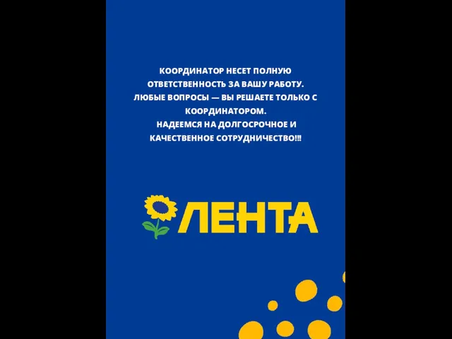 КООРДИНАТОР НЕСЕТ ПОЛНУЮ ОТВЕТСТВЕННОСТЬ ЗА ВАШУ РАБОТУ. ЛЮБЫЕ ВОПРОСЫ — ВЫ РЕШАЕТЕ