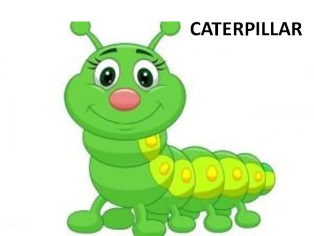 CATERPILLAR