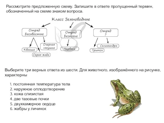 Рассмотрите предложенную схему. Запишите в ответе пропущенный термин, обозначенный на схеме знаком