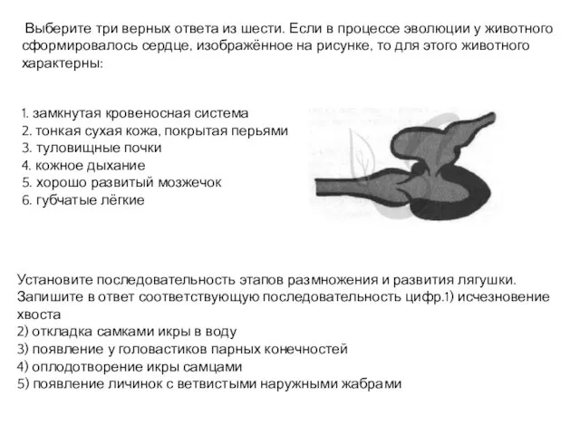 Выберите три верных ответа из шести. Если в процессе эволюции у животного