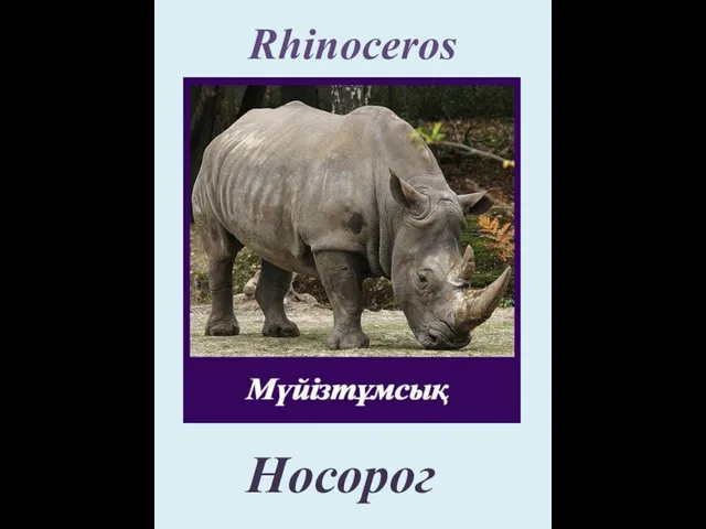 Rhinoceros Носорог