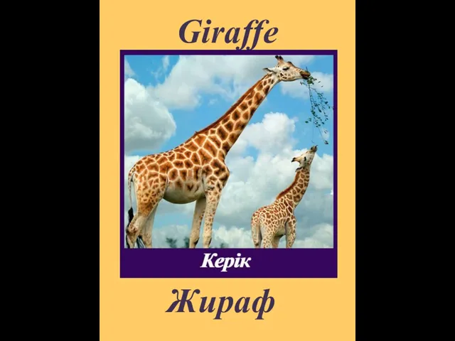 Giraffe Жираф