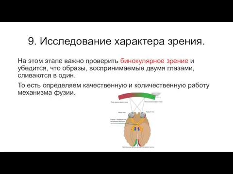 9. Исследование характера зрения. На этом этапе важно проверить бинокулярное зрение и