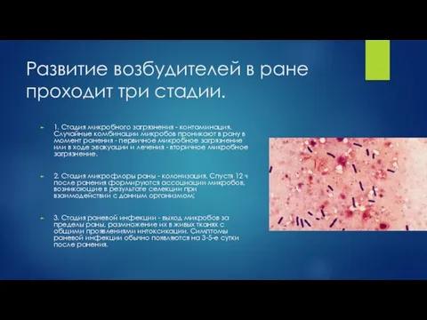 Развитие возбудителей в ране проходит три стадии. 1. Стадия микробного загрязнения -