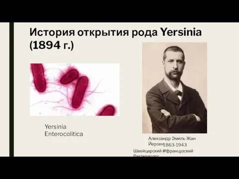 История открытия рода Yersinia (1894 г.) Александр Эмиль Жан Йерсен 1863-1943 гг