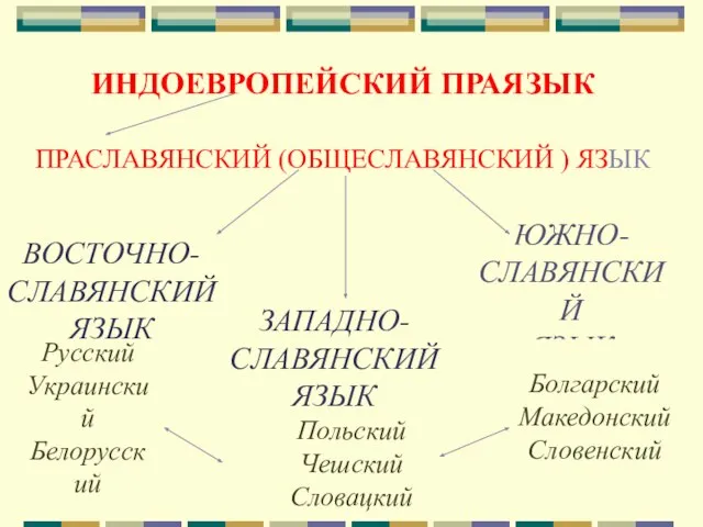 ИНДОЕВРОПЕЙСКИЙ ПРАЯЗЫК ПРАСЛАВЯНСКИЙ (ОБЩЕСЛАВЯНСКИЙ ) ЯЗЫК ВОСТОЧНО- СЛАВЯНСКИЙ ЯЗЫК ЗАПАДНО- СЛАВЯНСКИЙ ЯЗЫК