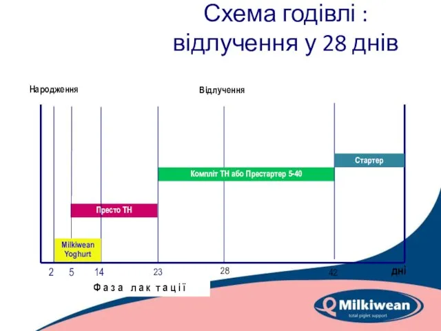 Схема годівлі : відлучення у 28 днів дні Ф а з а