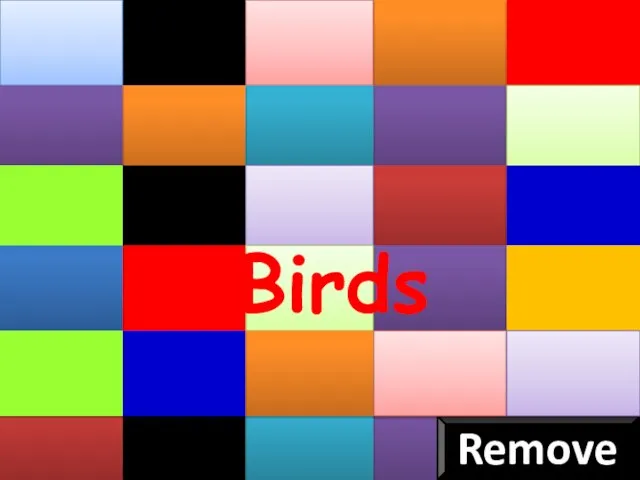 Remove Birds