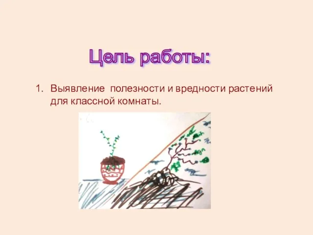 Выявление полезности и вредности растений для классной комнаты. Цель работы: