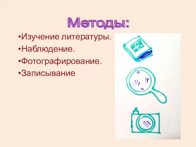 Методы: Изучение литературы. Наблюдение. Фотографирование. Записывание