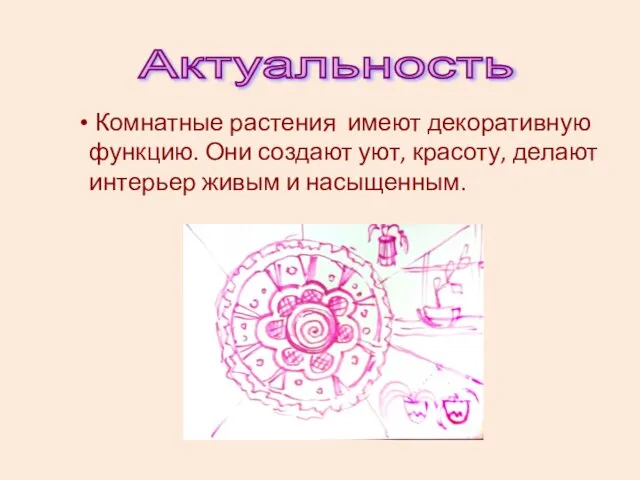 Актуальность Комнатные растения имеют декоративную функцию. Они создают уют, красоту, делают интерьер живым и насыщенным.