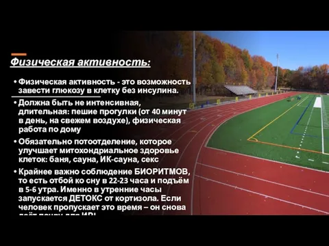 Физическая активность: Физическая активность - это возможность завести глюкозу в клетку без