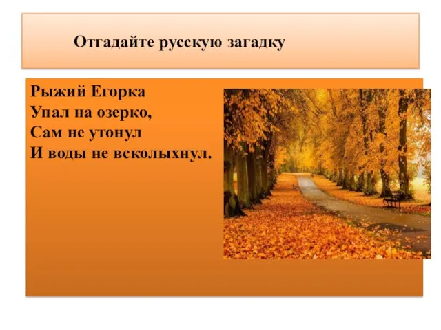 Отгадайте русскую загадку Рыжий Егорка Упал на озерко, Сам не утонул И воды не всколыхнул.