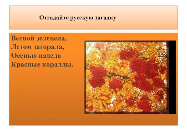 Отгадайте русскую загадку Весной зеленела, Летом загорала, Осенью надела Красные кораллы.