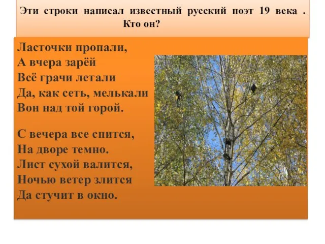 Эти строки написал известный русский поэт 19 века . Кто он? Ласточки