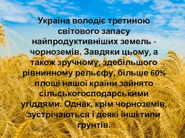 Україна володіє третиною світового запасу найпродуктивніших земель - чорноземів. Завдяки цьому, а