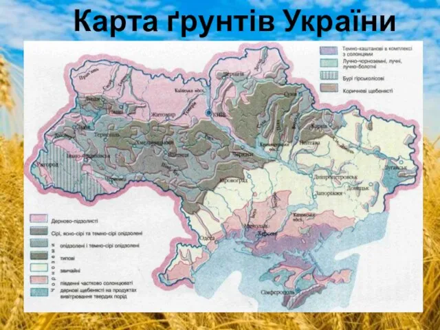Карта ґрунтів України